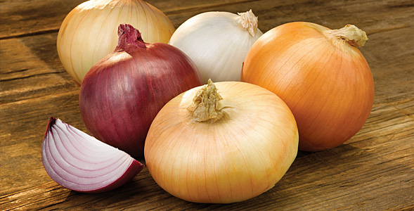 onion varieties Onion Association