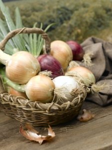 harvested onions in basket