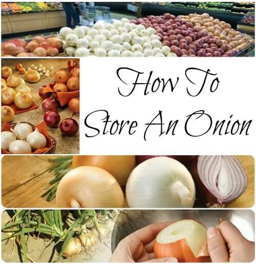 onion1