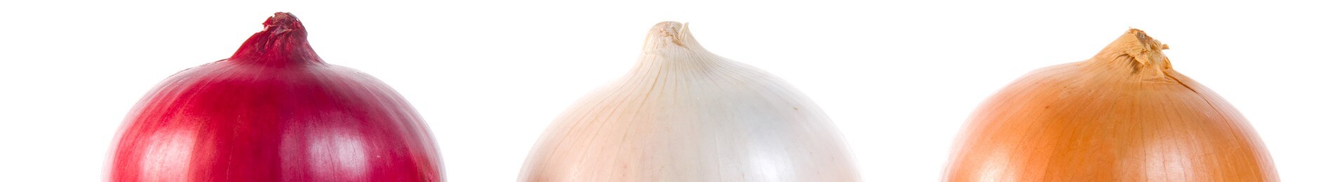 Onion Tips, Myths & FAQs