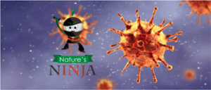 Natures Ninja character superimposed on virus illustration